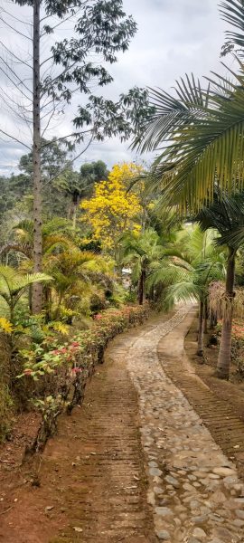 Finca en la vereda Abreito ( Cerca a Rionegro Antioquia)