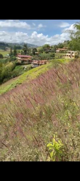 Se vende lote Grande en guatape cerca a zona turística