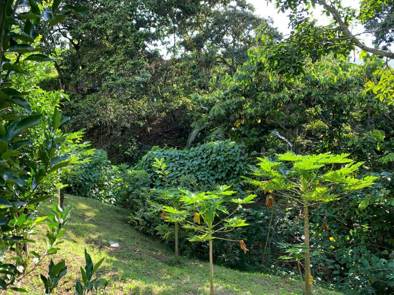 Casa finca en eliconia